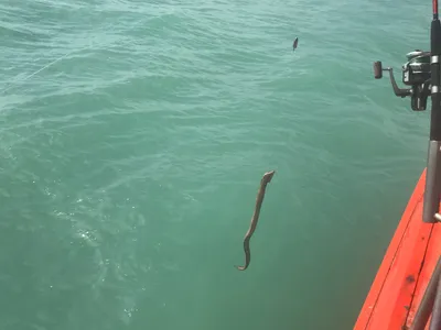 海钓