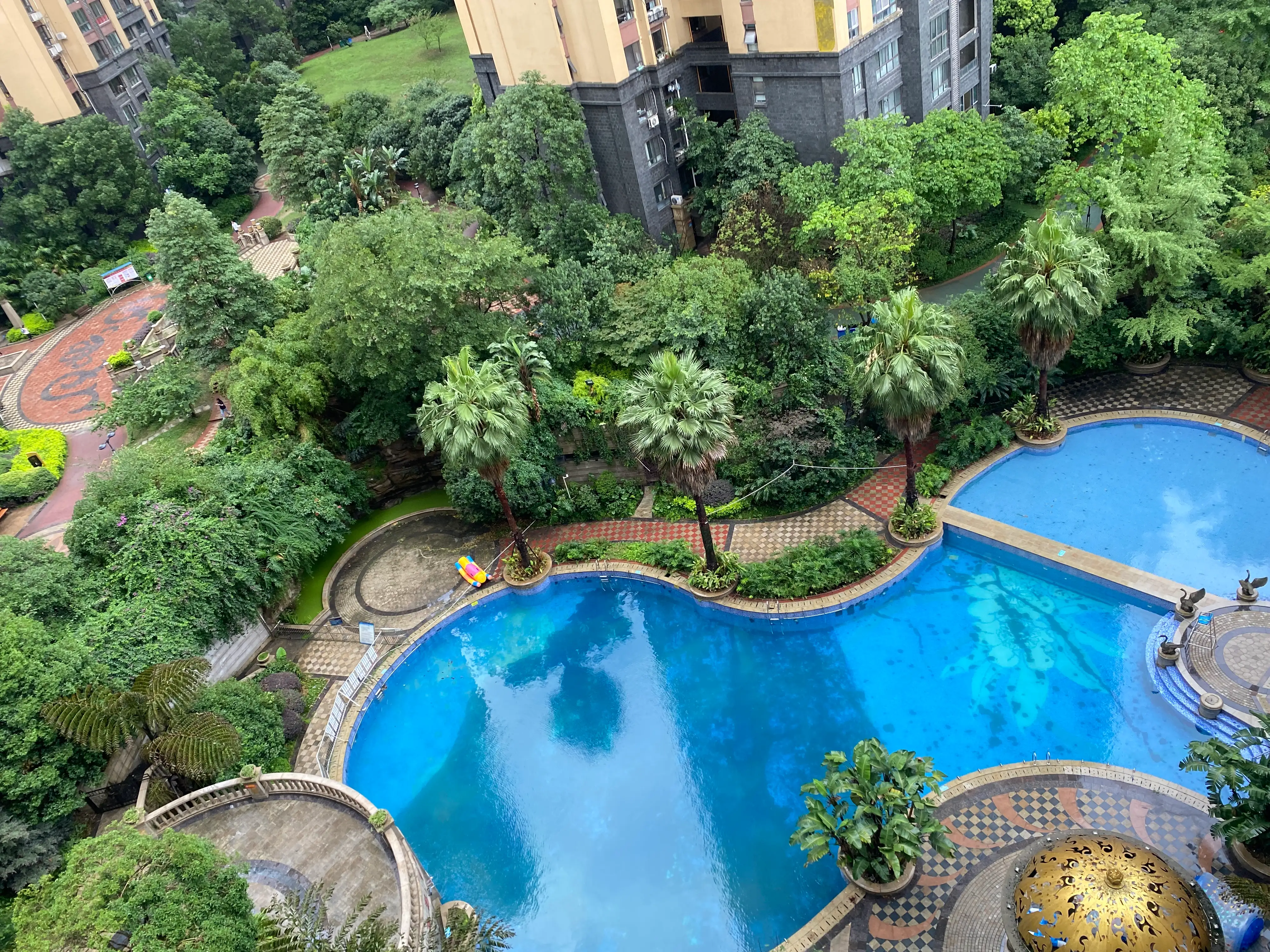 夏日游泳🏊🏻‍♂️记
